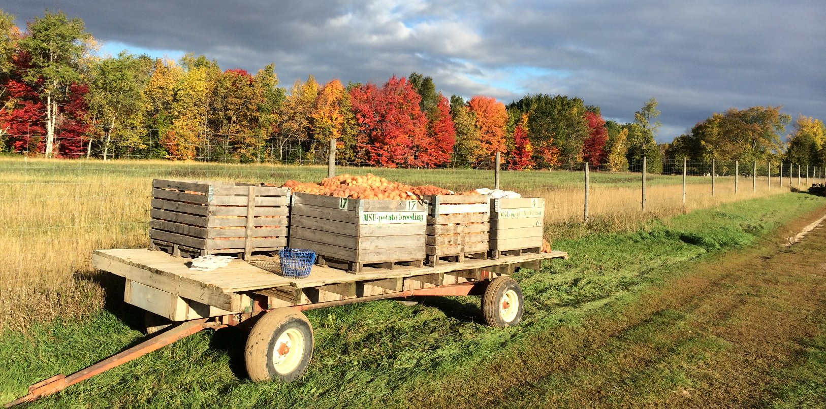 Research Projects MSU Harvest boxes Lake City